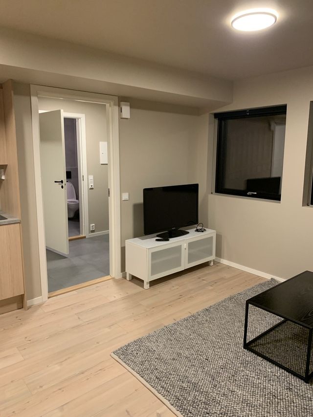 Bel appartement 1 chambre meuble 43 m²